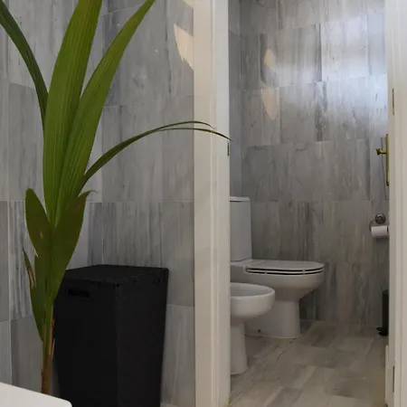 Mimosas Penthouse Cabopino * מארבלה